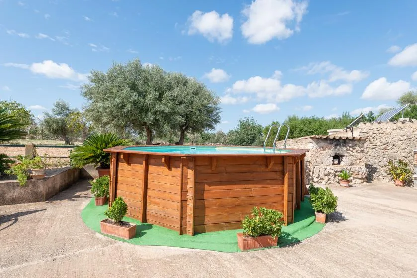 Zona de piscina al aire libre con piscina revestida de madera y plantas en macetas.