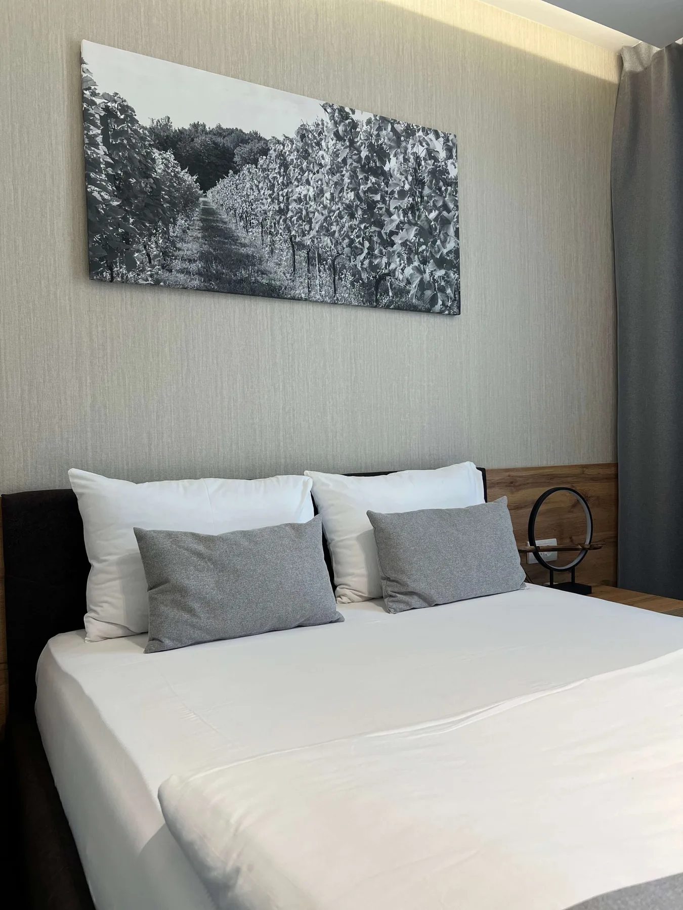 Hotel room or apartment
