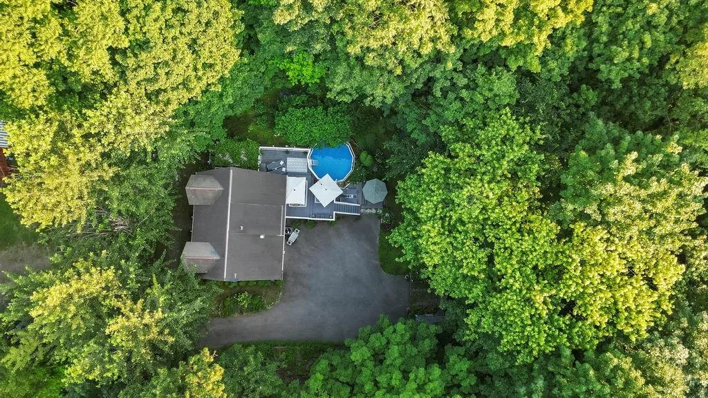 An aerial view shows a paved driveway surrounded by dense trees.