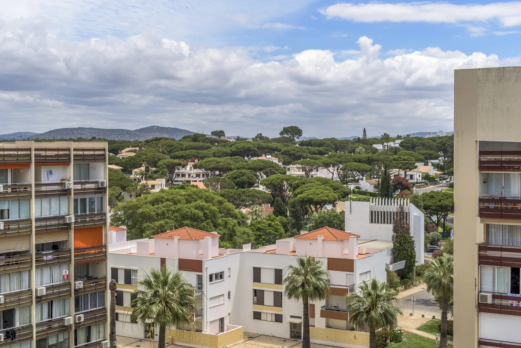 Vista de edificios de apartamentos, palmeras y vegetación bajo un cielo nublado.