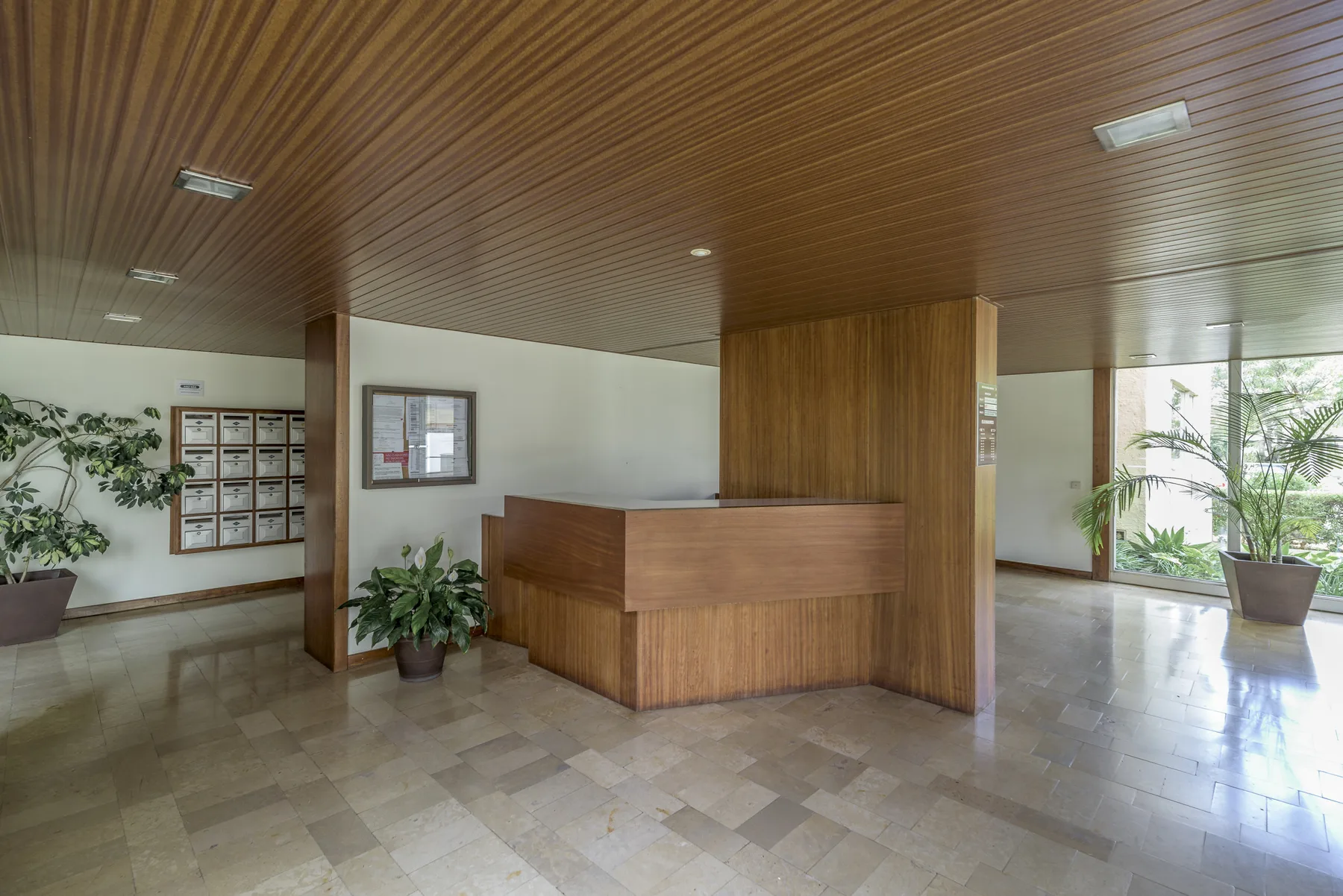 A reception area with a wooden desk and indoor plants.