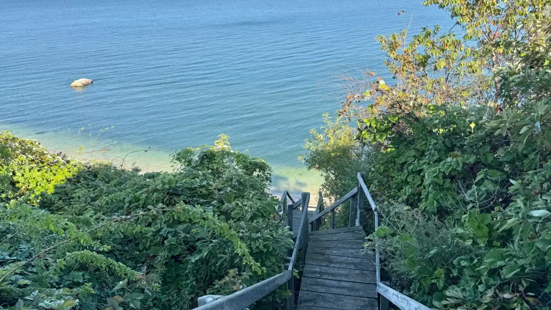 Wooden steps descend through dense greenery toward a blue shoreline.