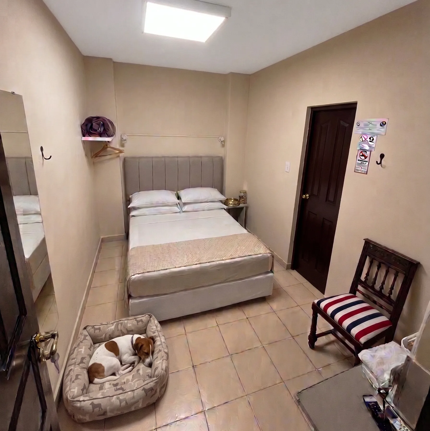 Pet-friendly economy double room
