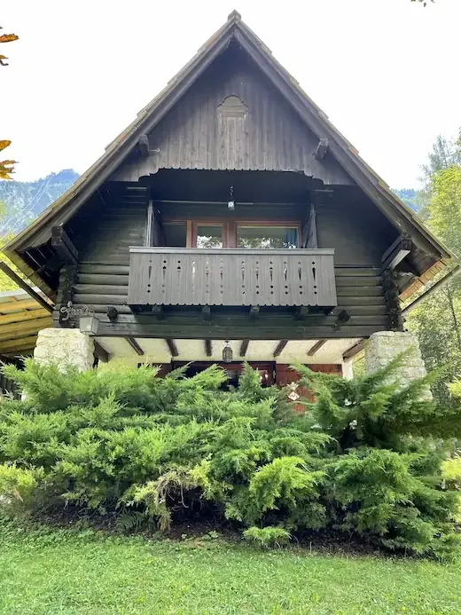 Exterior de Red Beech Cabin entre el bosque de hayas