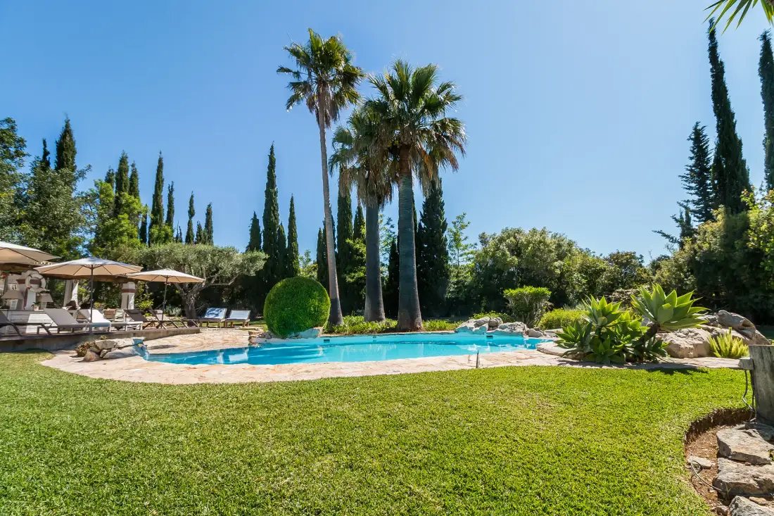 Una piscina al aire libre junto al césped, palmeras y asientos de descanso.