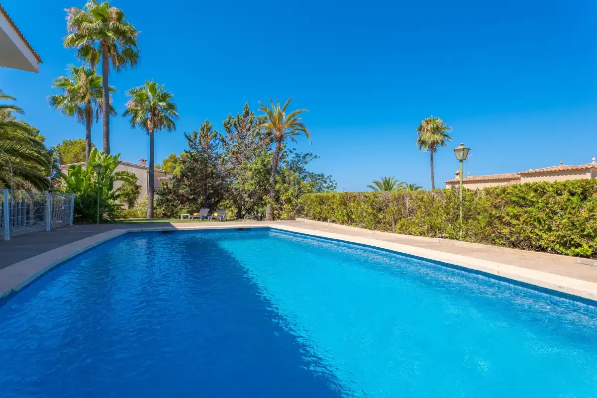 An outdoor swimming pool is surrounded by palm trees and greenery.