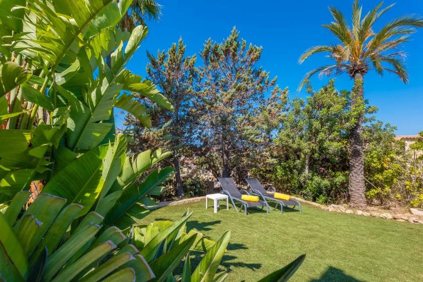 A sunny garden with lawn seating, leafy plants, and a palm tree.