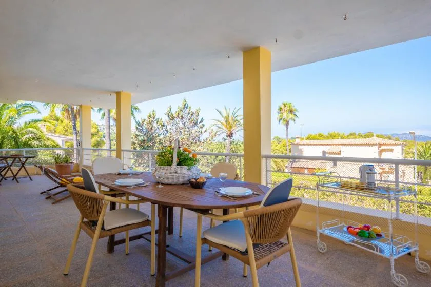 An outdoor dining area with a long table and chairs overlooking palm trees.