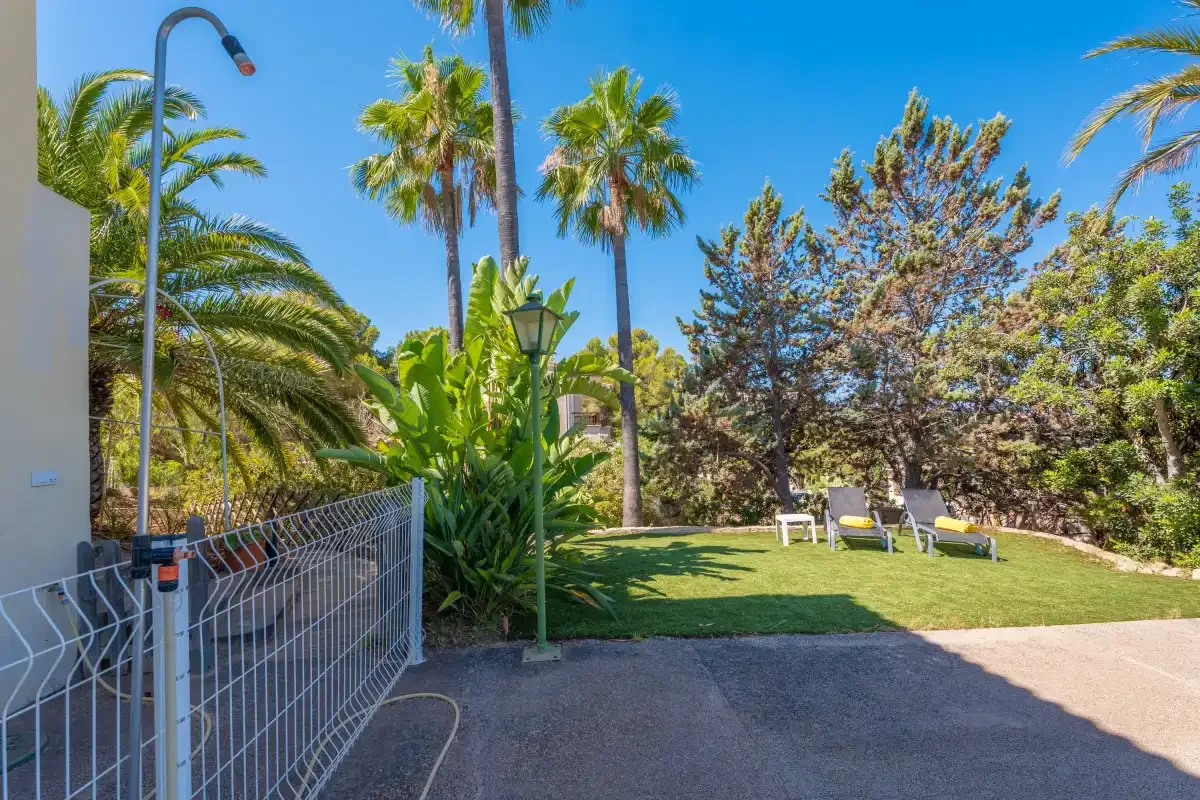 A garden with palm trees, lawn, and outdoor seating.
