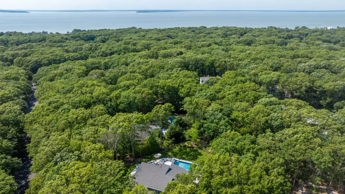 Aerial view of a house surrounded by dense green trees near the water.