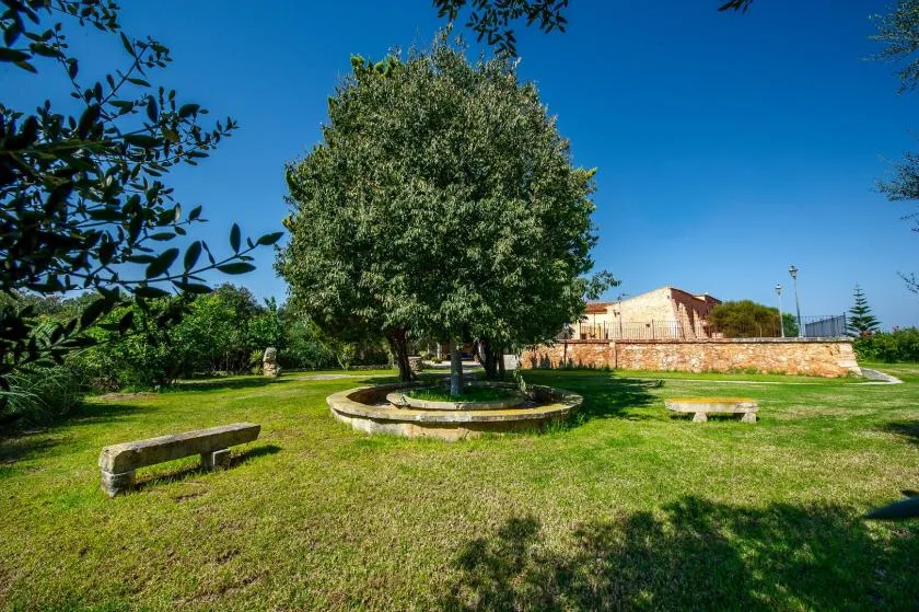 Un jardín con césped rodea un árbol grande bajo un cielo azul despejado.