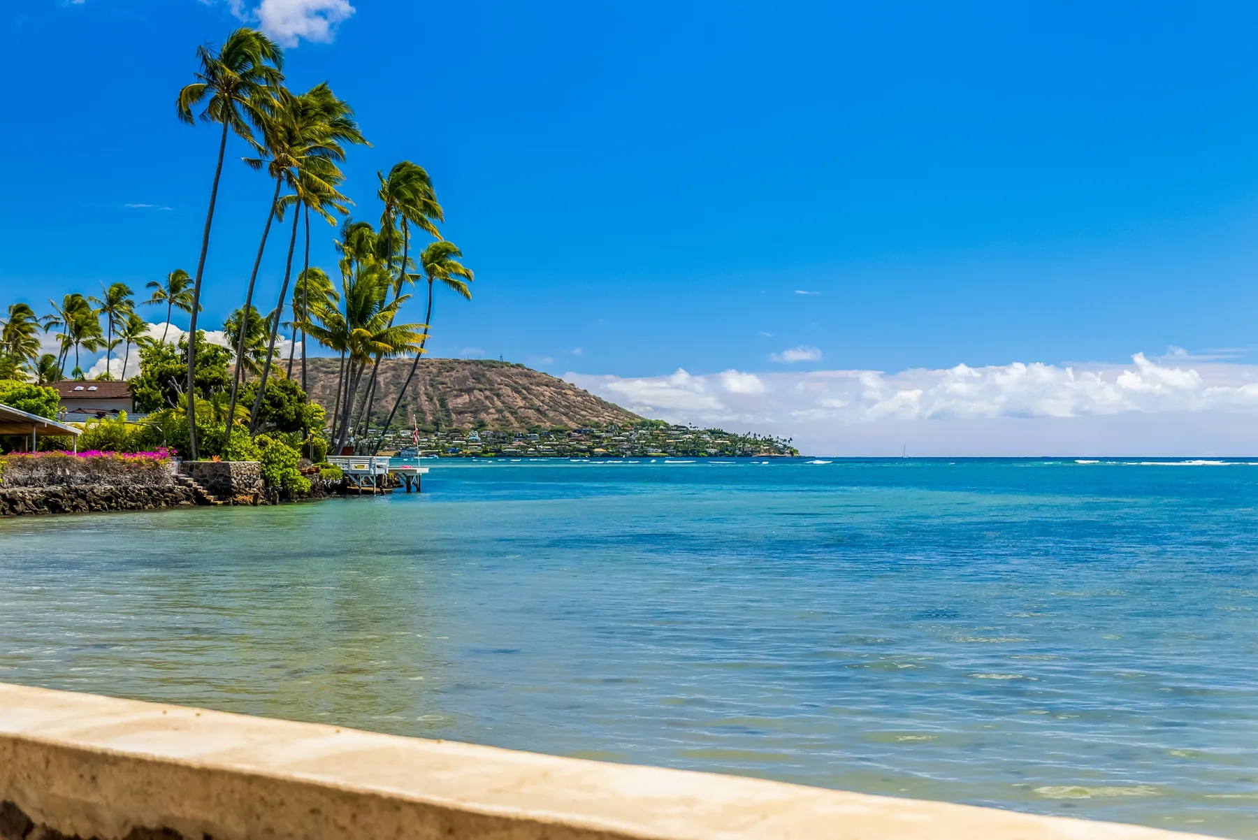 A tropical shoreline with palm trees beside calm blue water.