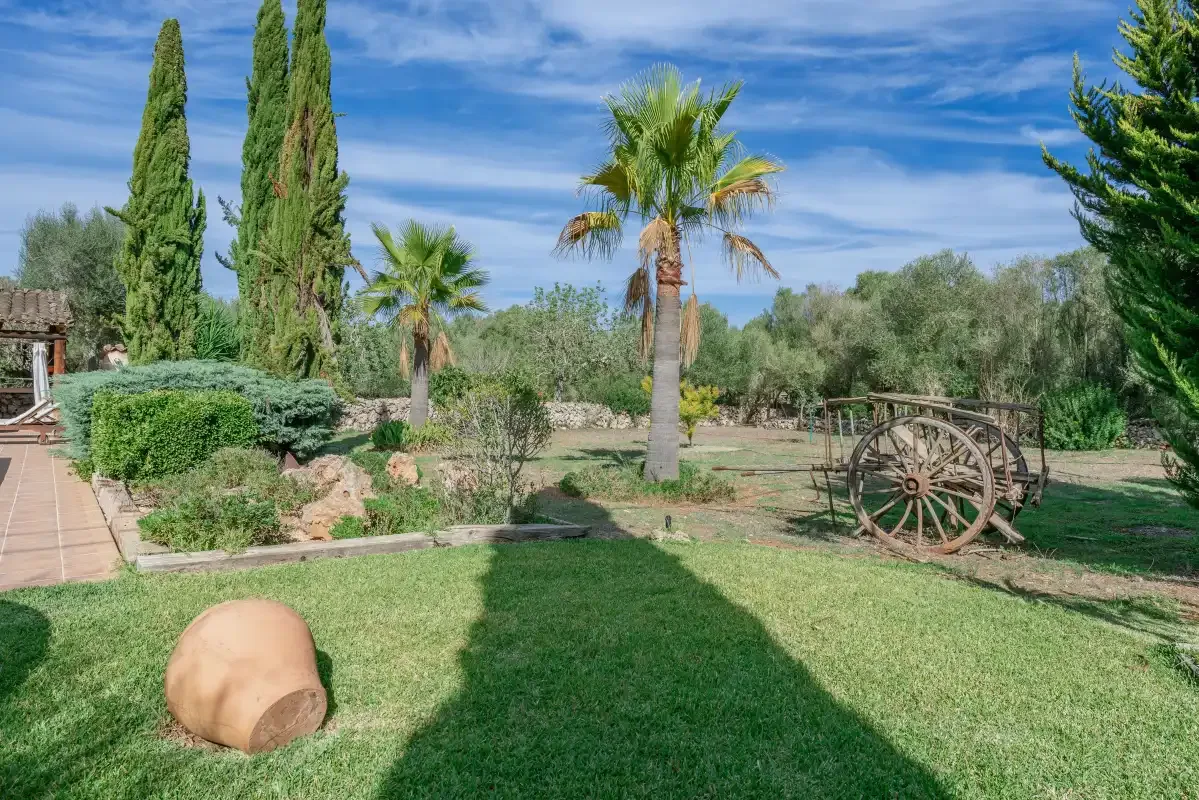 Un jardín cuidado con una palmera, cipreses altos y un carro de madera.