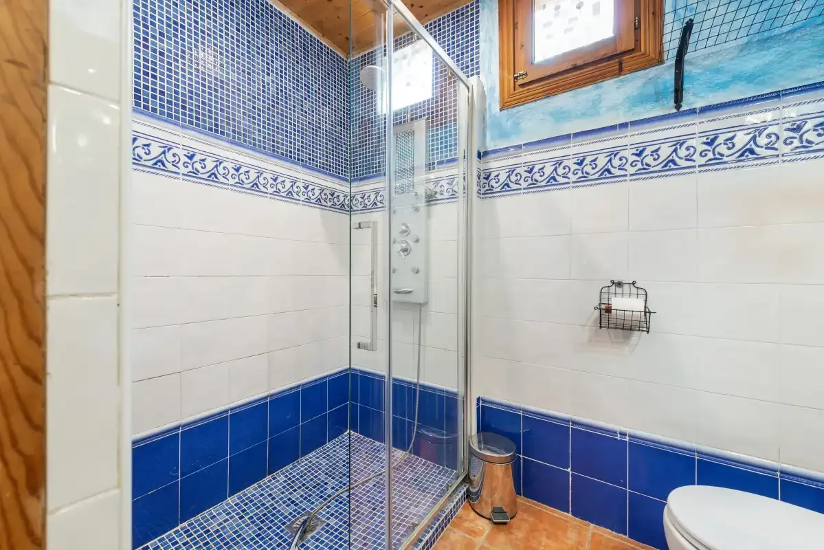 Un baño alicatado con una ducha de vidrio y un inodoro.