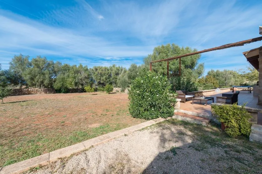Un patio exterior ajardinado con una zona de asientos y árboles alrededor.