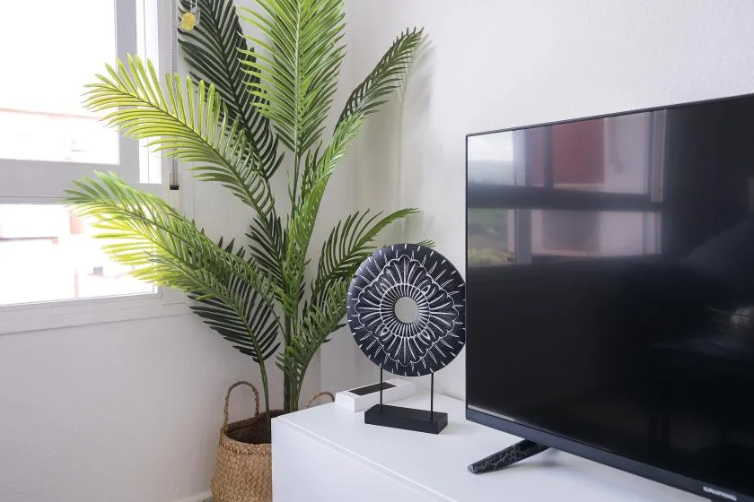 Un televisor y una planta decorativa están sobre un mueble blanco junto a una ventana.