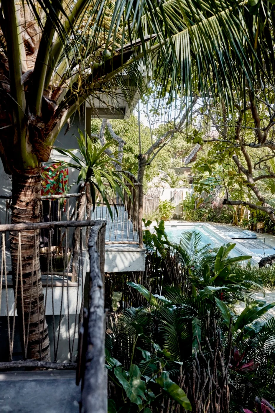 Tropical garden