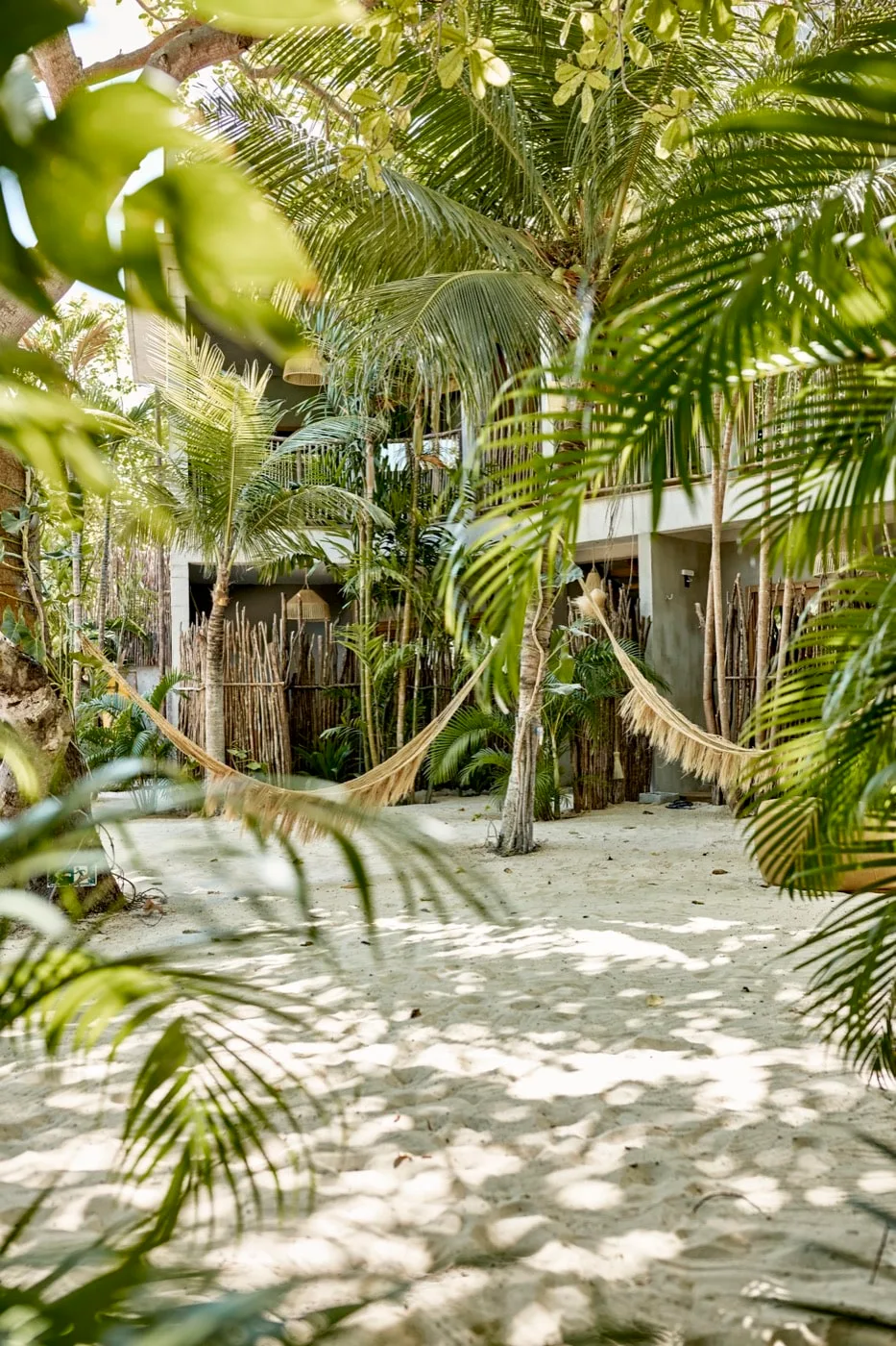 Tropical garden