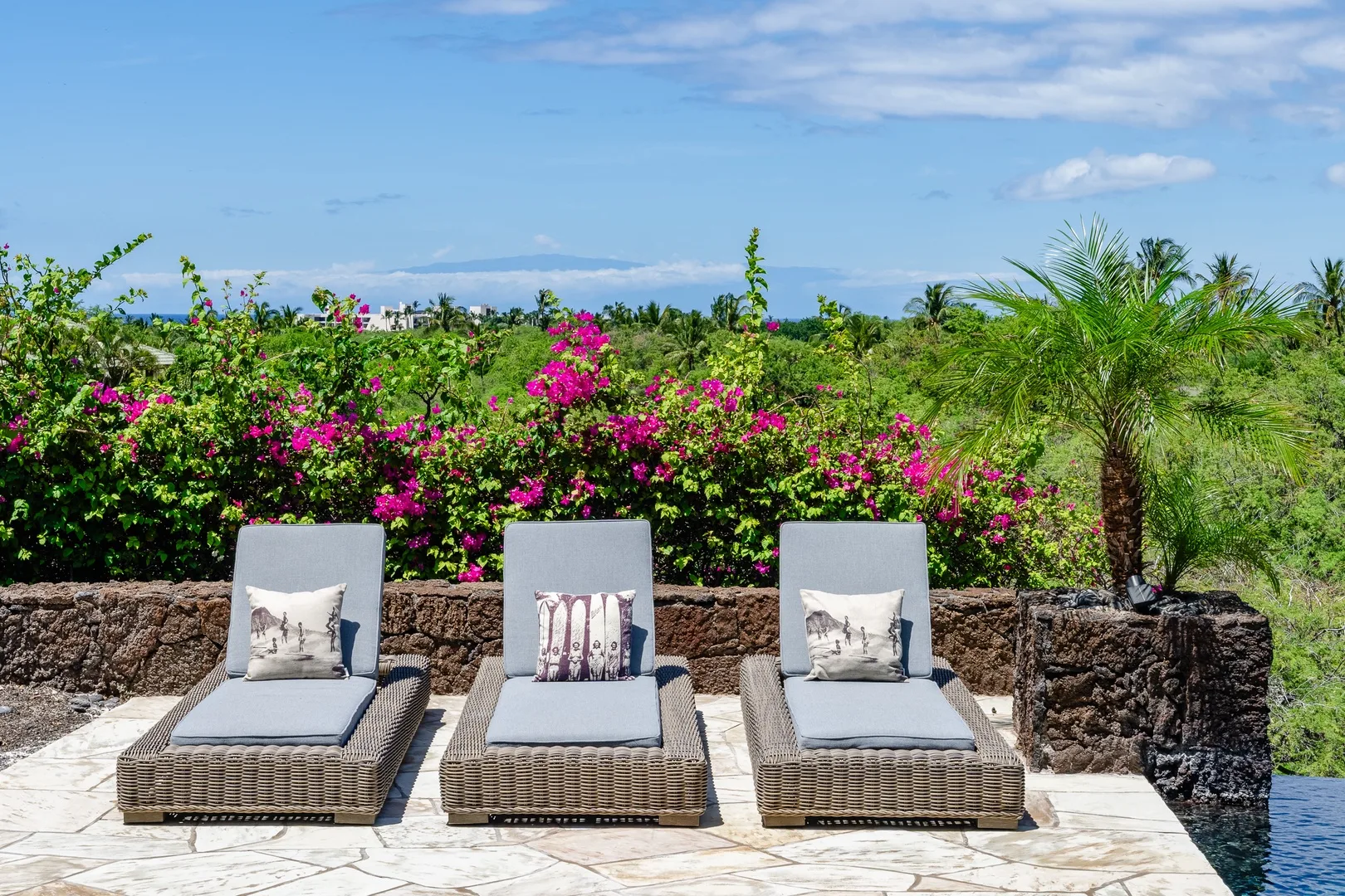 Tres tumbonas están en un patio soleado junto a arbustos floridos y una piscina.