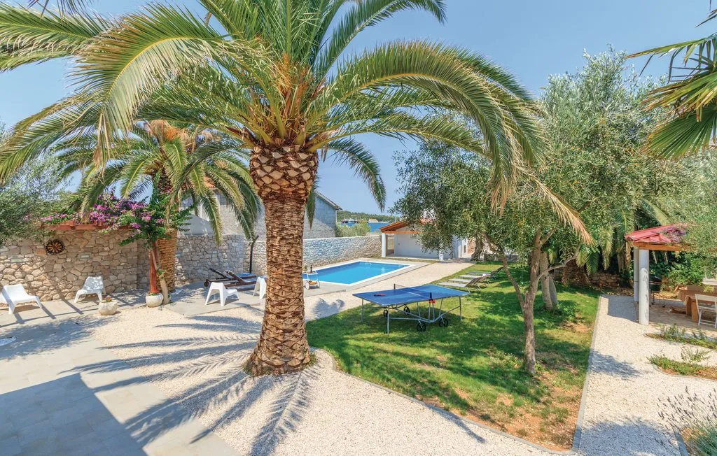 An outdoor pool area with palm trees, seating, and a shaded lawn.