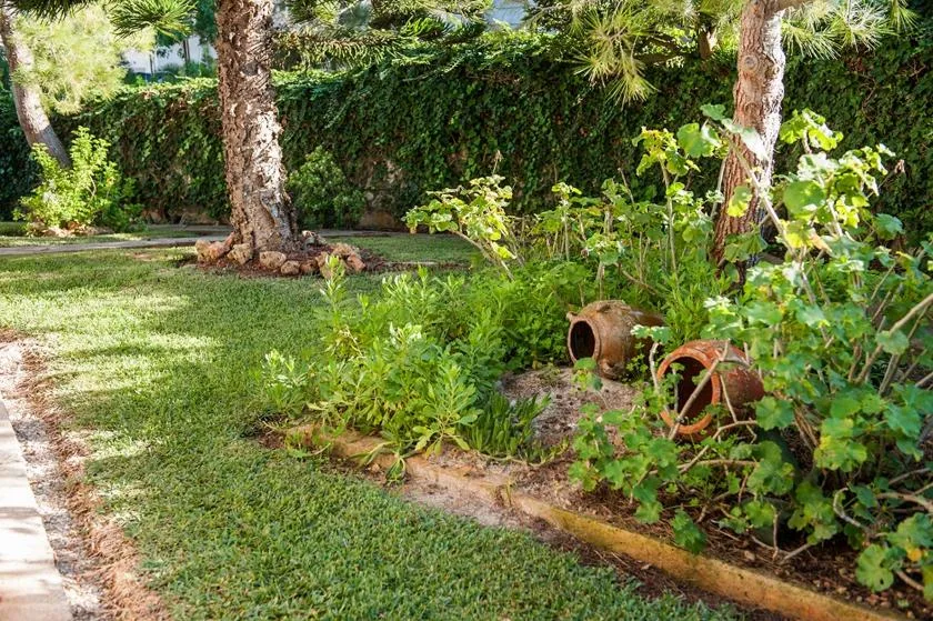 Un jardín con césped, plantas frondosas y macetas de terracota.