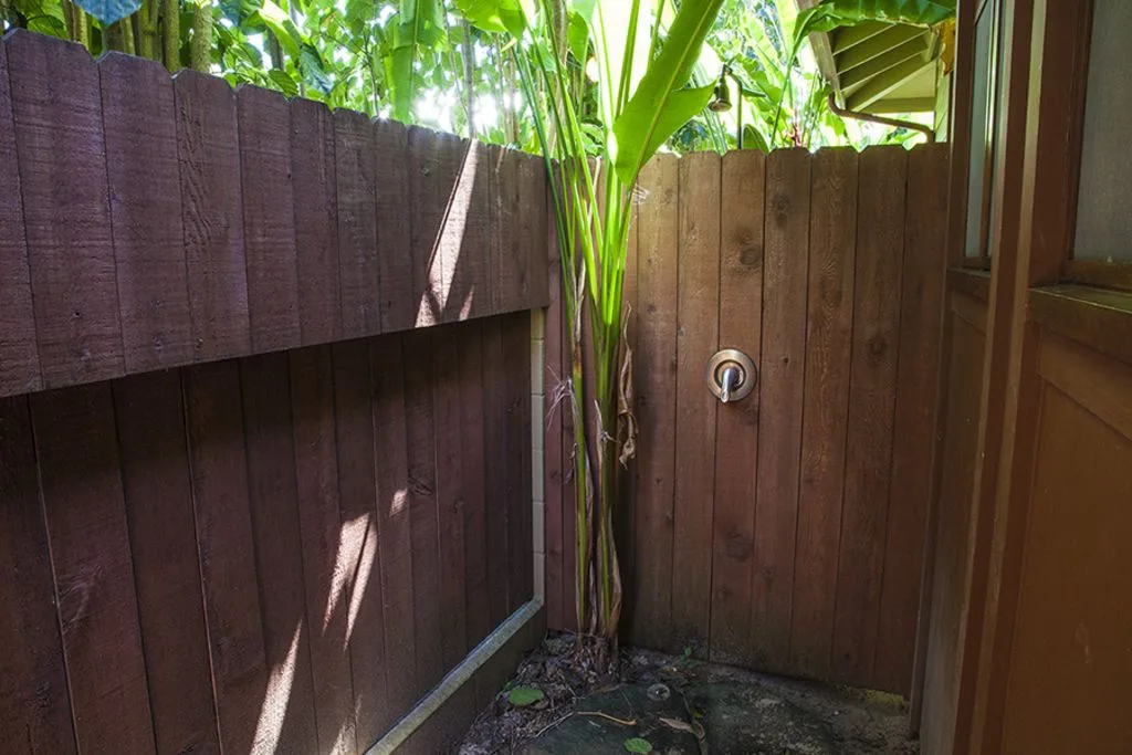A small outdoor shower area enclosed by wooden fencing, with tropical plants overhead.