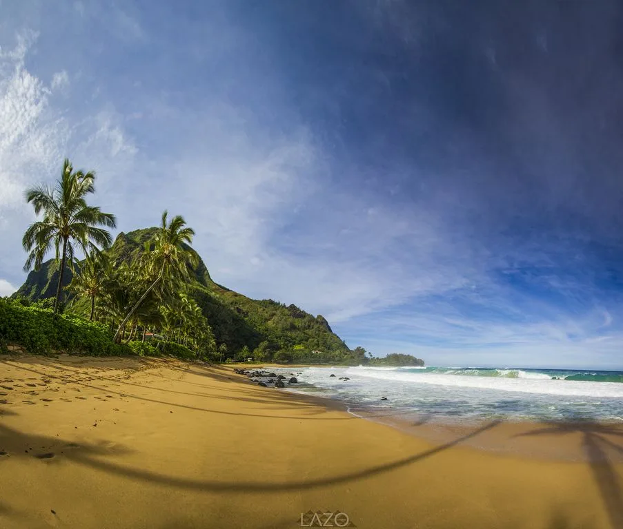 A tropical beach with palm trees, green hills, and waves along the shore.