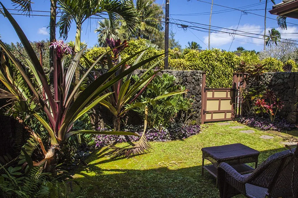 A sunny garden courtyard with tropical plants, a stone wall, and outdoor seating.
