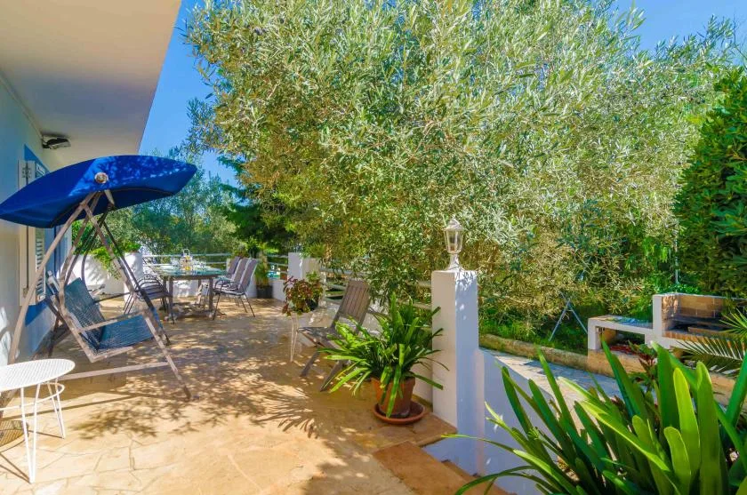 A leafy outdoor patio with seating beneath a large tree.