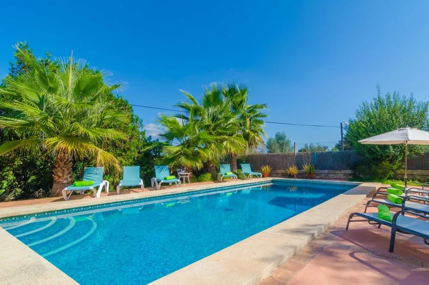 An outdoor swimming pool is surrounded by lounge seating, palm trees, and a patio umbrella.