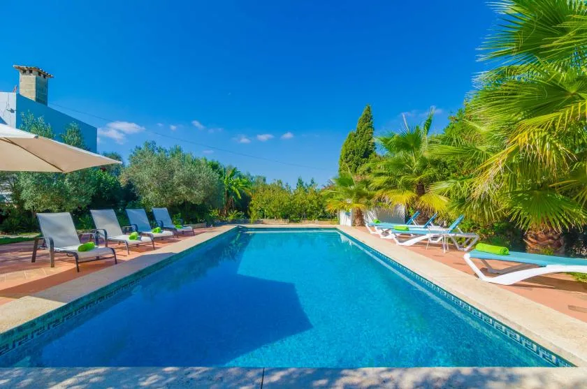A swimming pool is surrounded by lounge chairs and palm trees.