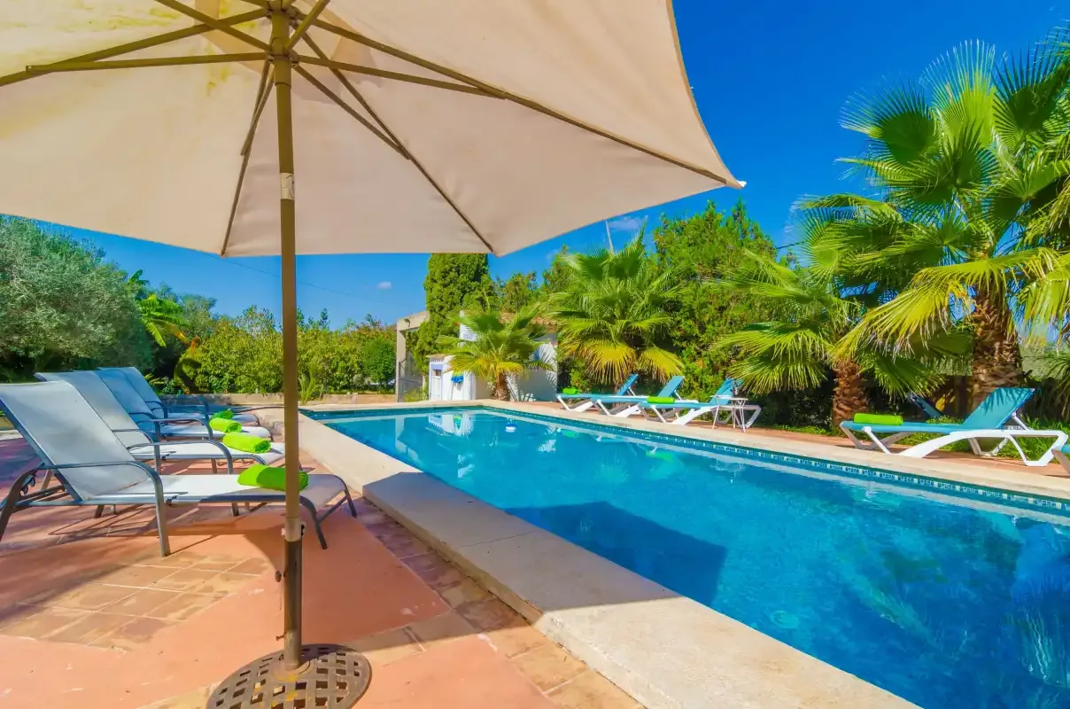 An outdoor swimming pool is surrounded by lounge seating and tropical plants.