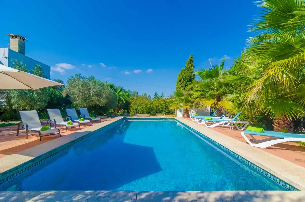 An outdoor swimming pool is surrounded by lounge seating and tropical plants.