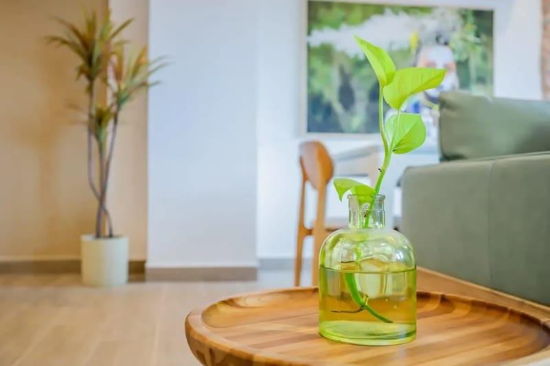 Luxury 2BR in Casco Antiguo w/ Rooftop