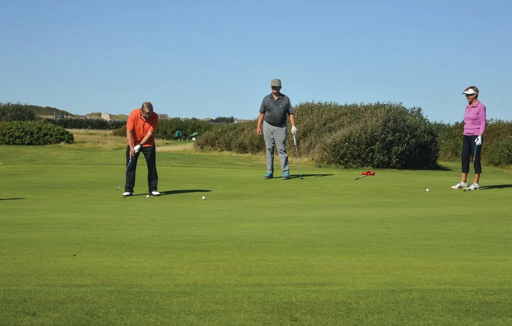 Unos golfistas juegan en un green, con arbustos y cielo abierto al fondo.