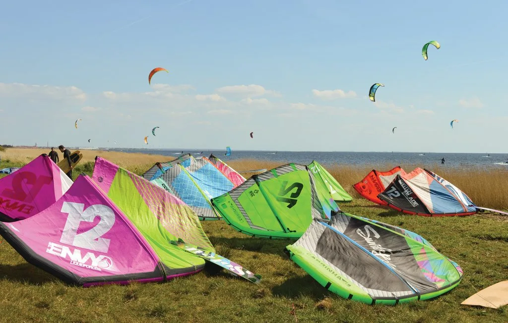 Cometas de kitesurf descansan en una orilla cubierta de hierba junto al agua, bajo un cielo despejado.