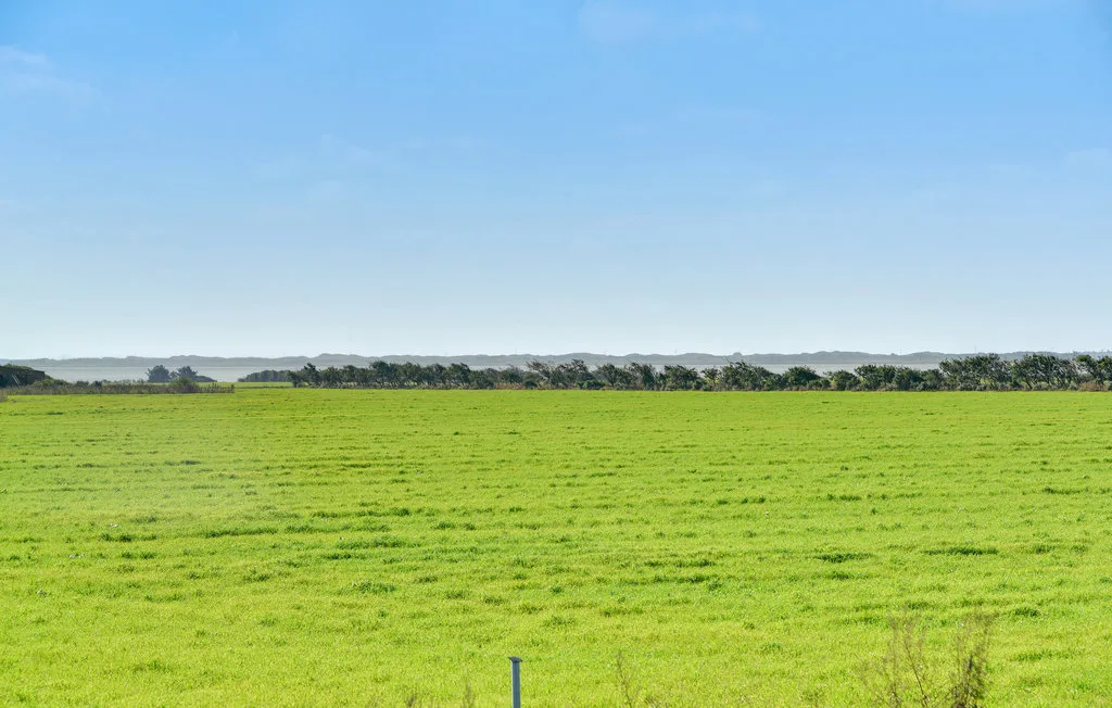 Un amplio campo verde se extiende bajo un cielo azul despejado.