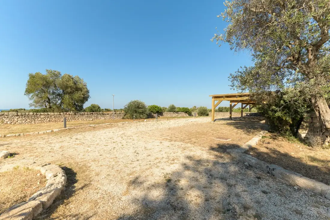 An open dry yard with scattered trees and a simple wooden shelter.