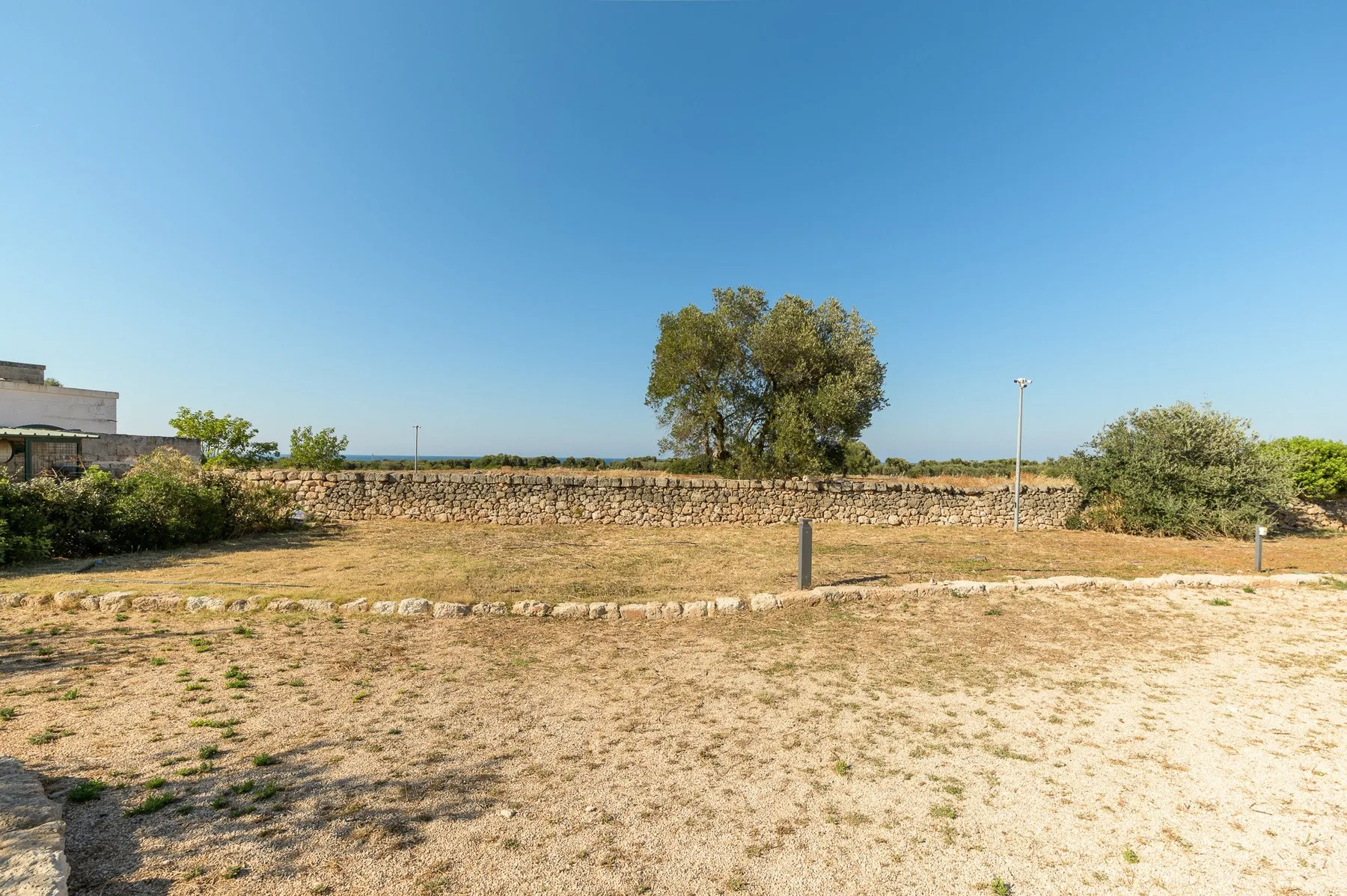 A dry open field bordered by a low stone wall and trees.