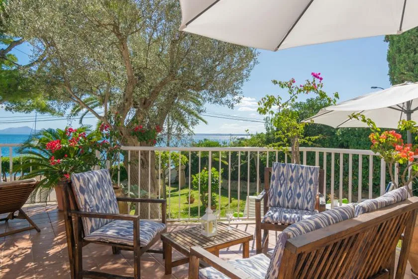 Una zona exterior con asientos de madera da a árboles y a una vista del mar.