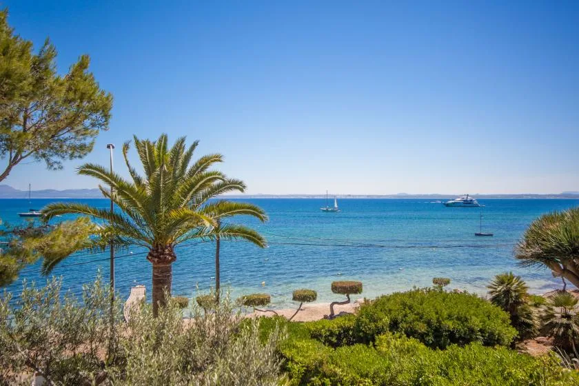 Un jardín costero da al mar azul, con palmeras y barcos en alta mar.
