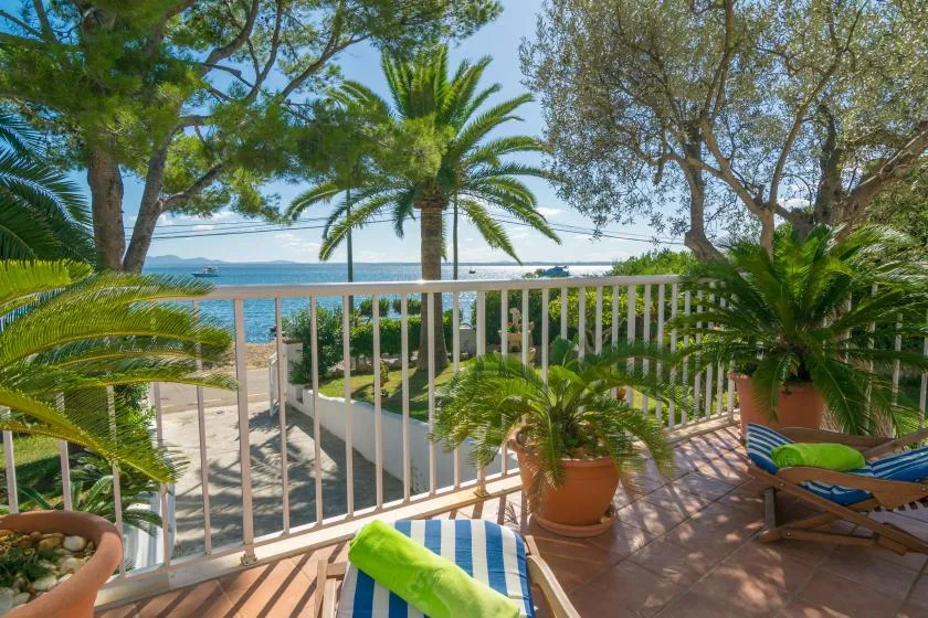 Una terraza junto al mar da al agua, con plantas frondosas y asientos al aire libre.