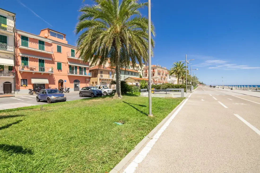 A seaside promenade runs beside a grassy strip, palm trees, and pastel-colored buildings.
