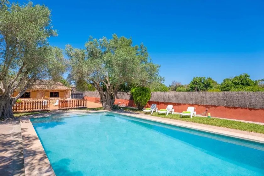 An outdoor swimming pool sits beside a red wall and leafy trees.