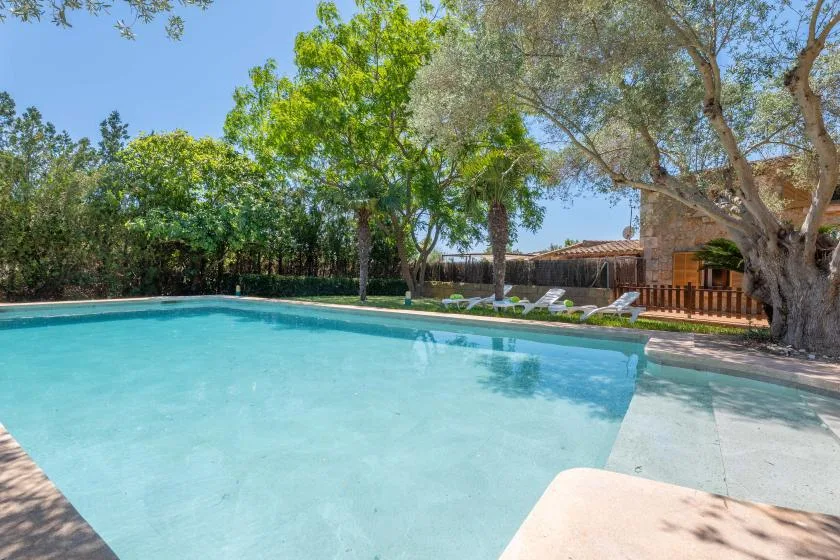 An outdoor swimming pool bordered by leafy trees and a stone building.