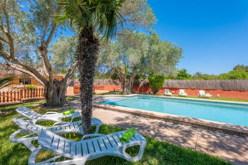 An outdoor swimming pool bordered by trees and lounge seating.
