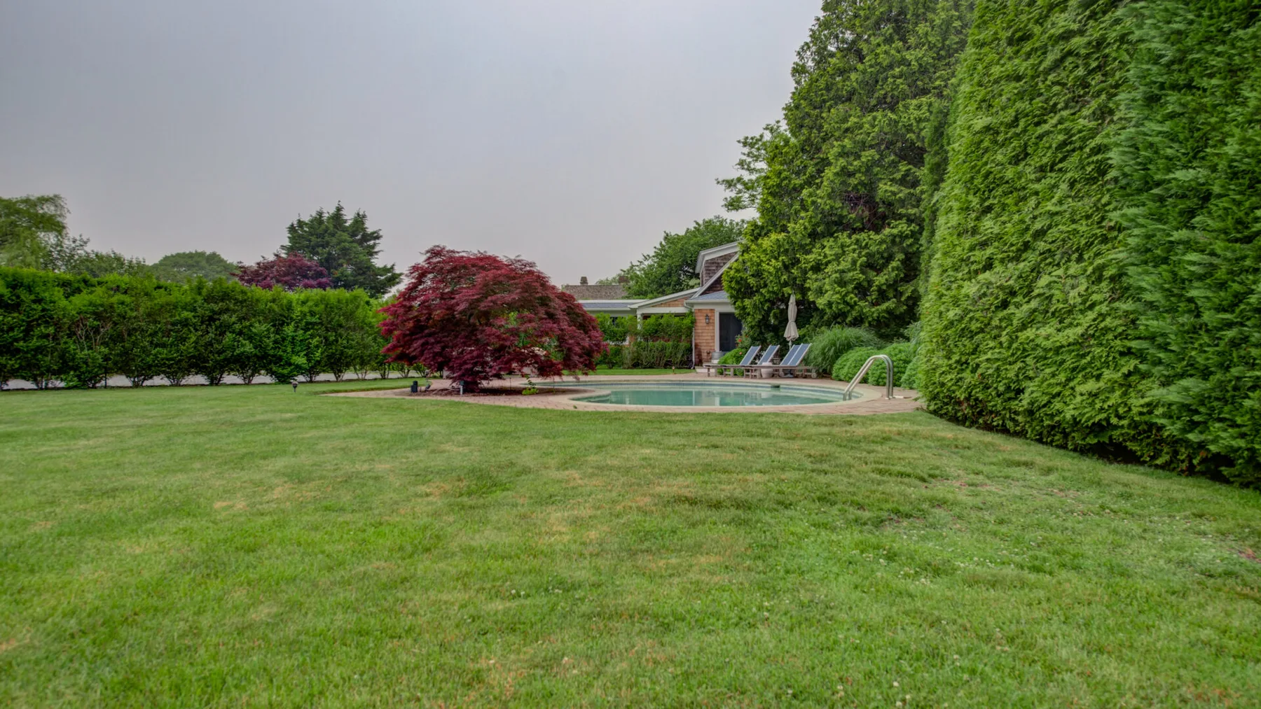 A landscaped backyard with a swimming pool, lawn, and leafy hedges.
