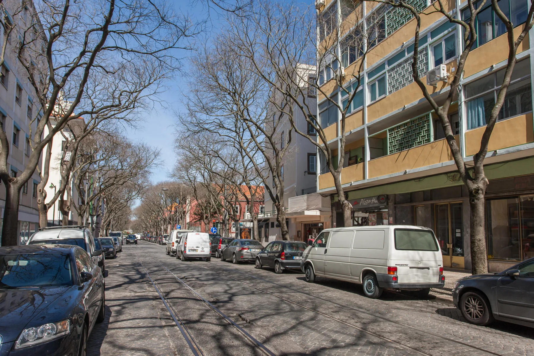 A tree-lined city street with parked cars and apartment buildings.