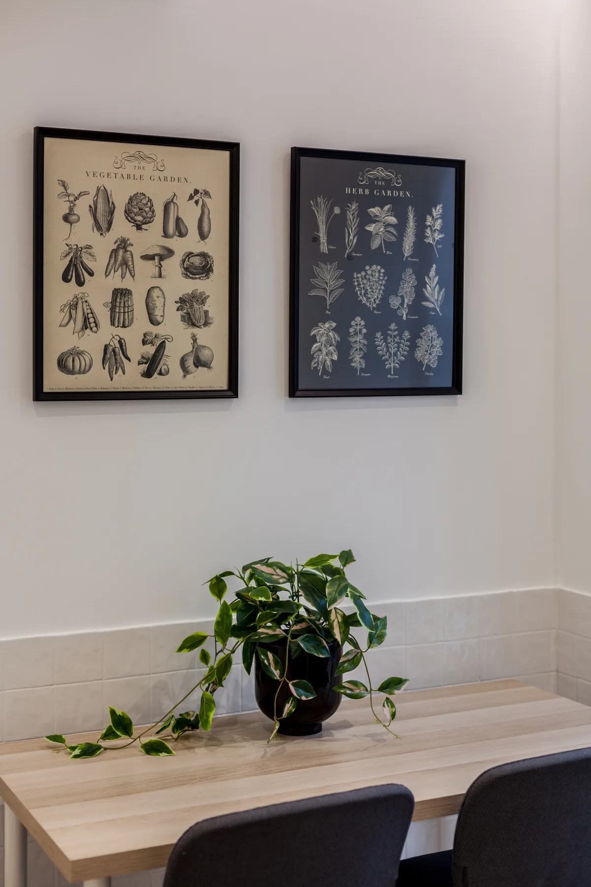 A dining table with two botanical prints and a trailing potted plant.