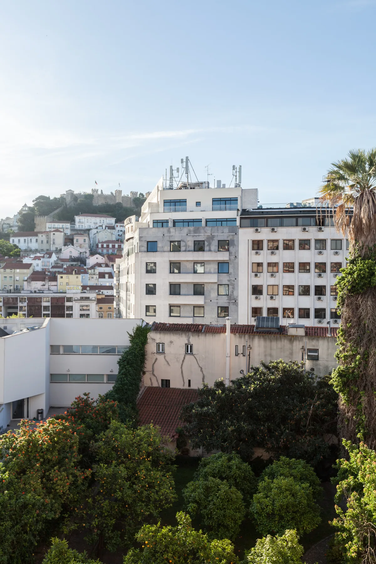 Urban cityscape with a hillside neighborhood and buildings beyond a leafy garden.